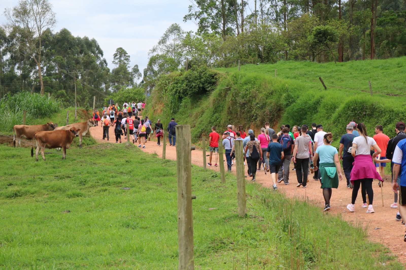 Ibirama realiza Wandertag e Caminhada Internacional na Natureza