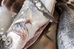 Feira do peixe começa nesta quarta nos municípios do Alto Vale