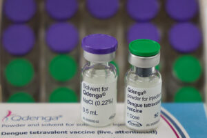 imagem da vacina contra dengue